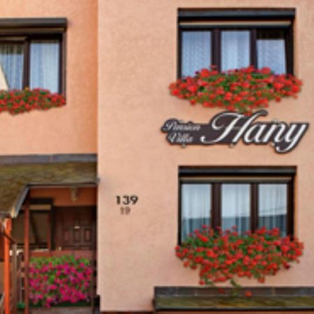 Pension Villa Hany Mariánské Lázně Exteriör bild