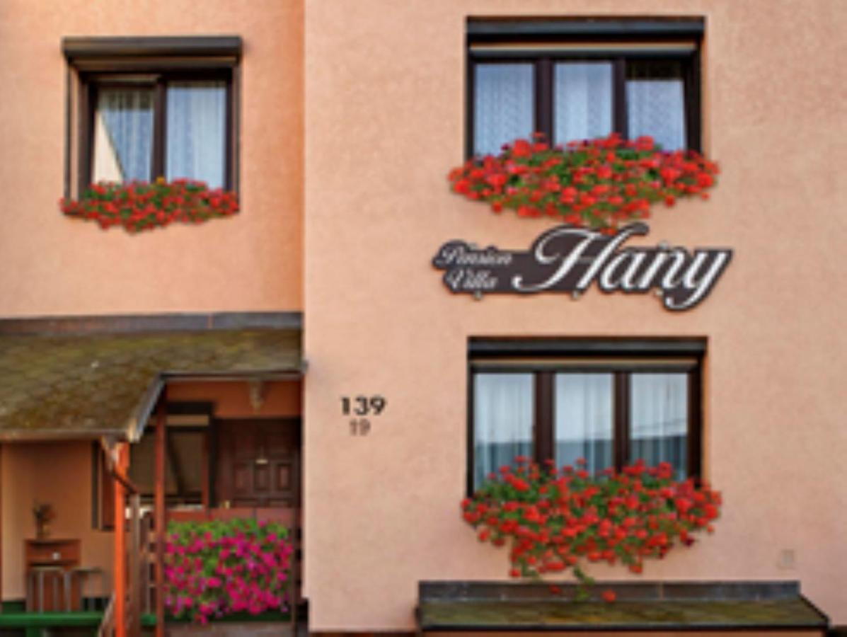 Pension Villa Hany Mariánské Lázně Exteriör bild