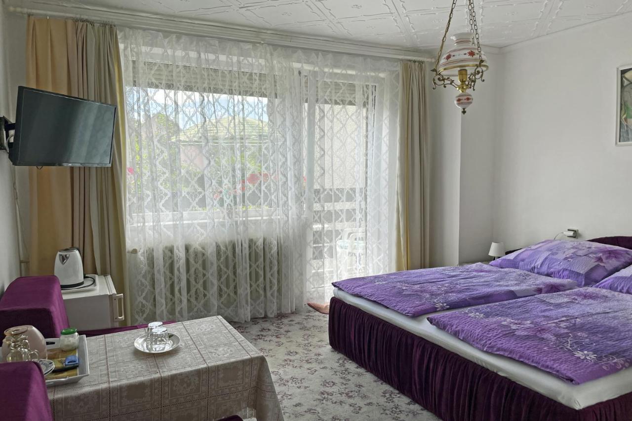 Pension Villa Hany Mariánské Lázně Exteriör bild