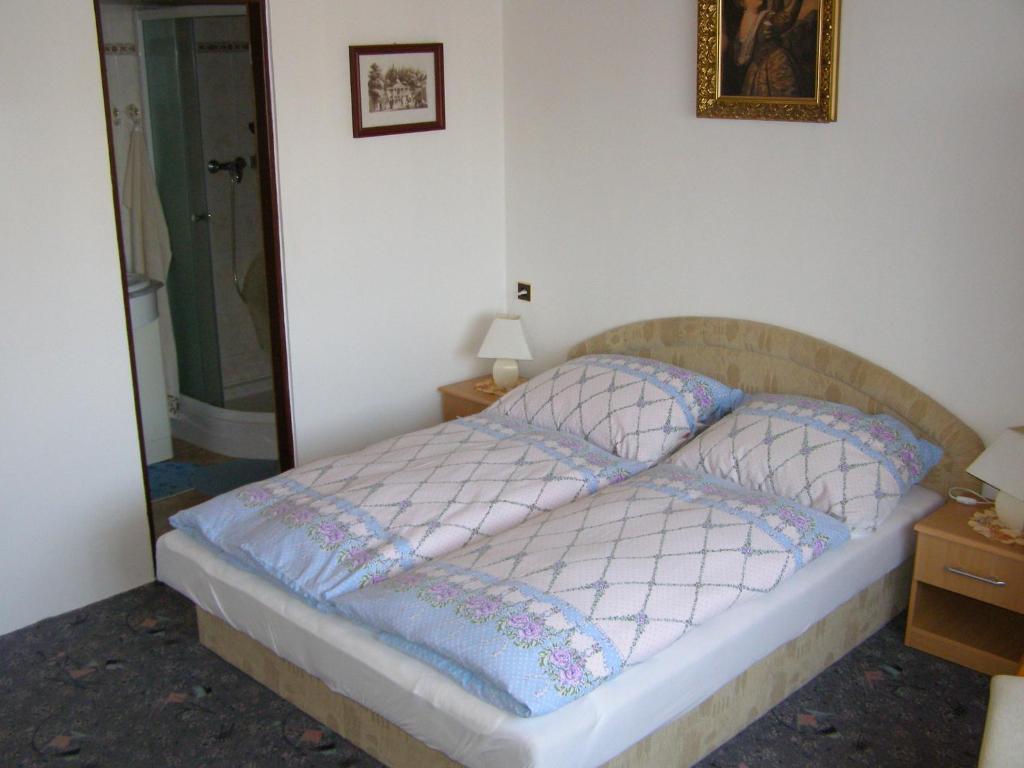 Pension Villa Hany Mariánské Lázně Rum bild
